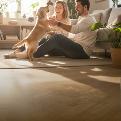 Collection image for: Pet Care