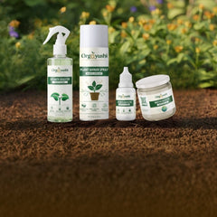 Collection image for: Plants Care