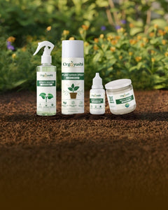 Collection image for: Plants Care