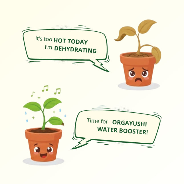 OrgAyushi Water Booster