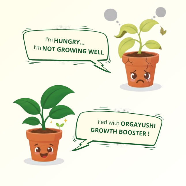 ⁠OrgAyushi Plant Nutrition (Growth Booster)