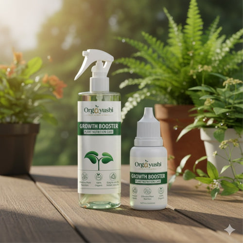Plant Nutrition — Greener Leaves, Stronger Plants