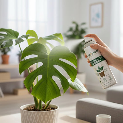 OrgAyushi Plant Shiner