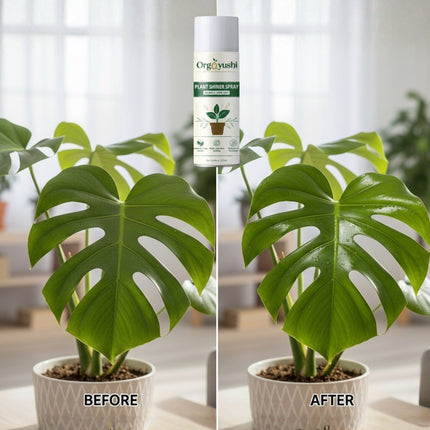 OrgAyushi Plant Shiner