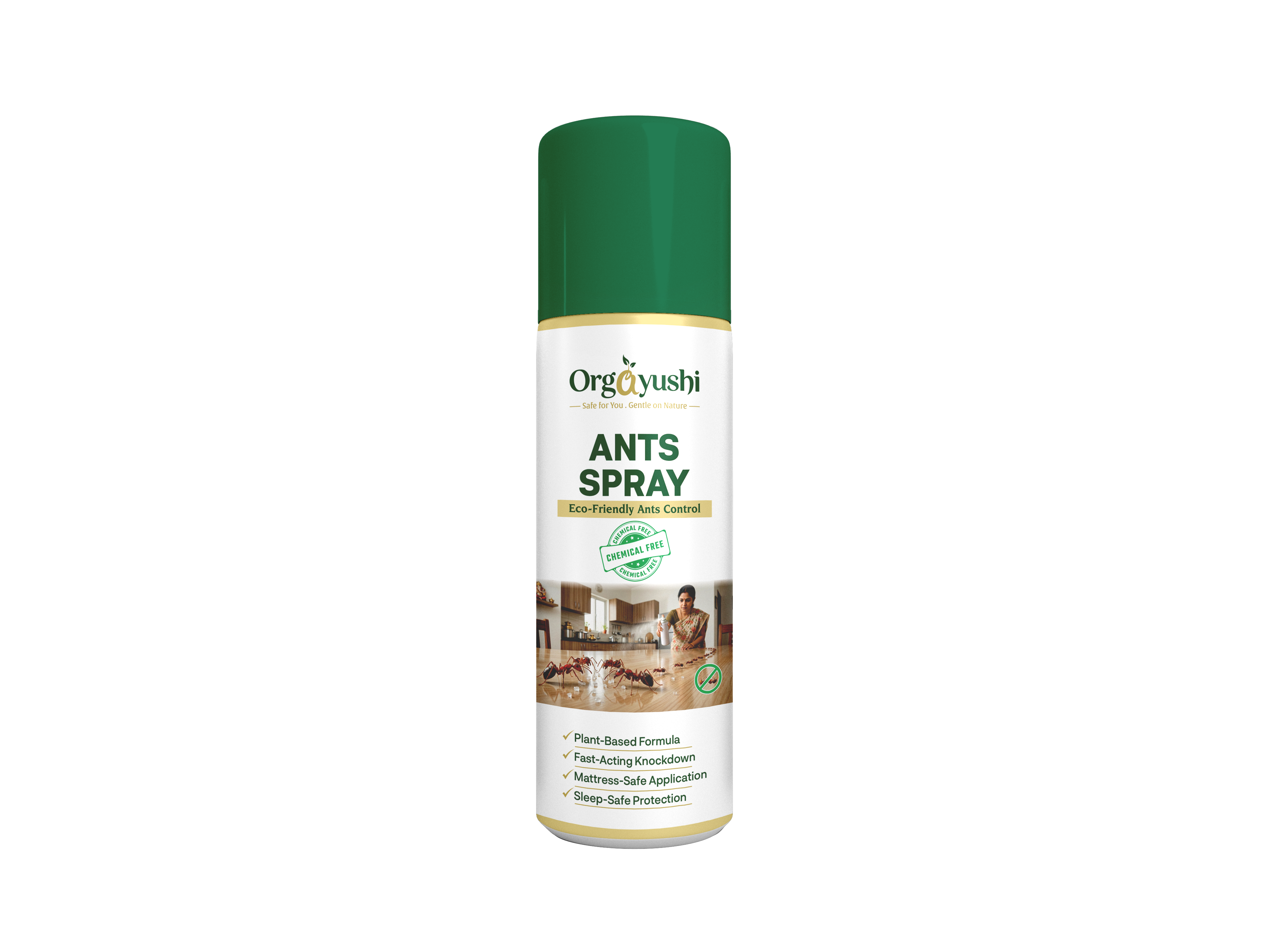 Ants in kitchen