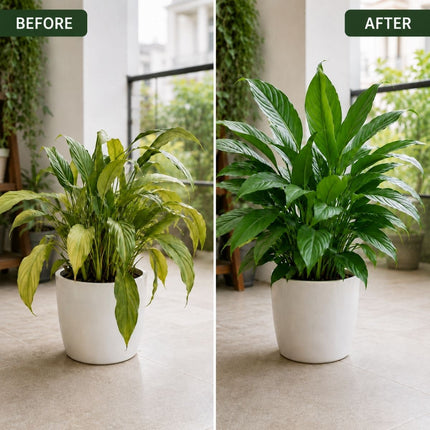 OrgAyushi Plant Nutrition Spray