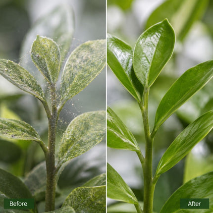 OrgAyushi Plant Protector Spray