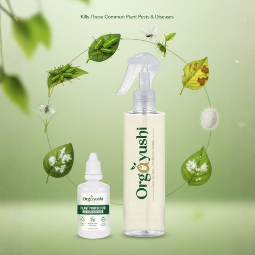 Plant Protector — Natural Insect Spray for Plants
