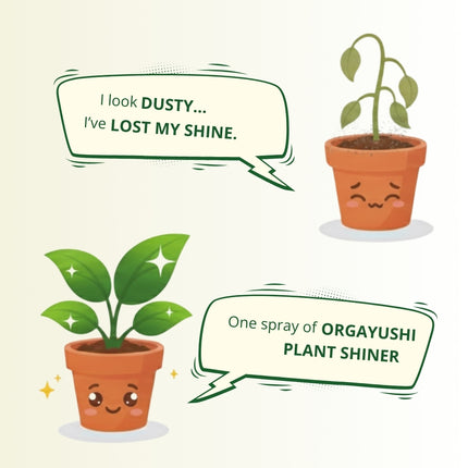 OrgAyushi Plant Shiner