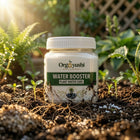 🌿 Going on vacation? Come back to alive, healthy plants - guaranteed.