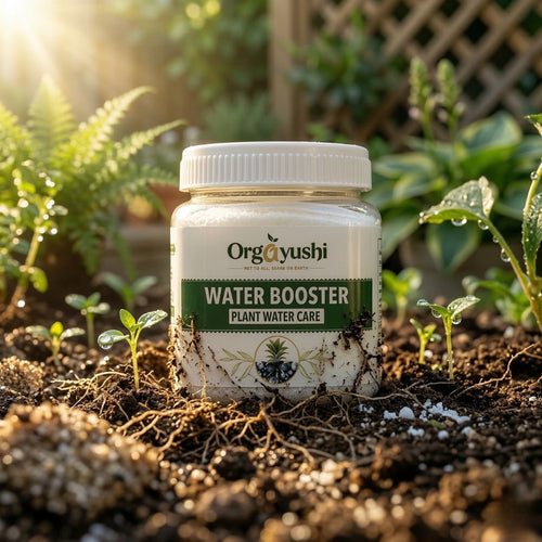 🌿 Going on vacation? Come back to alive, healthy plants - guaranteed.