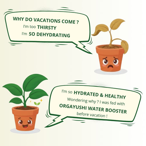 🌿 Going on vacation? Come back to alive, healthy plants - guaranteed.