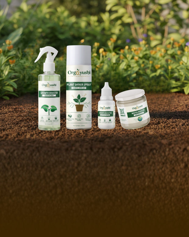 Banner image for: <h3>GARDEN CARE</h3>